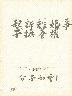 起诉离婚争议孩子抚养权