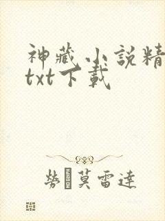 神藏小说精校版txt下载