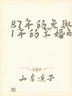 87年的兔与91年的羊婚配好吗封面