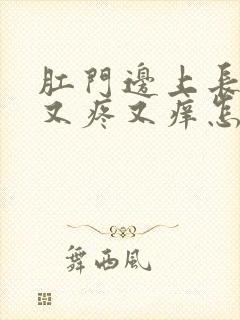 肛门边上长疙瘩又疼又痒怎么回事