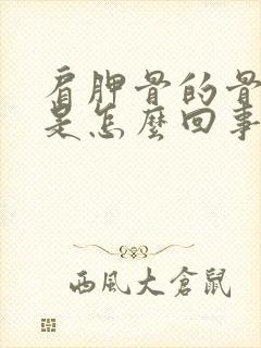 肩胛骨的骨缝疼是怎么回事