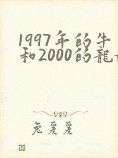 1997年的牛和2000的龙婚配封面