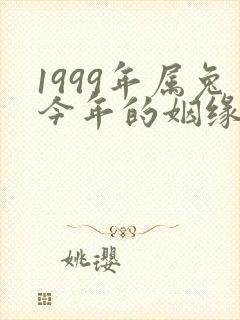 1999年属兔今年的姻缘怎样
