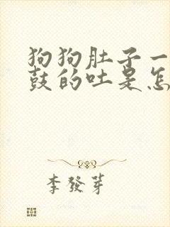 狗狗肚子一鼓一鼓的吐是怎么回事