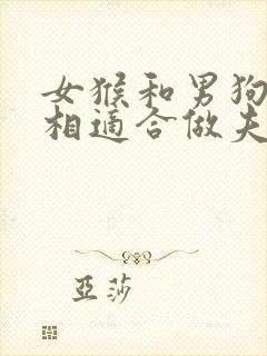 女猴和男狗的属相适合做夫妻吗