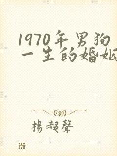 1970年男狗一生的婚姻及命运封面