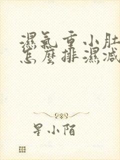 湿气重小肚子大怎么排湿减肥