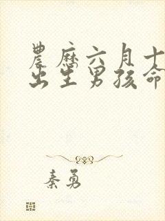 农历六月十一日出生男孩命运