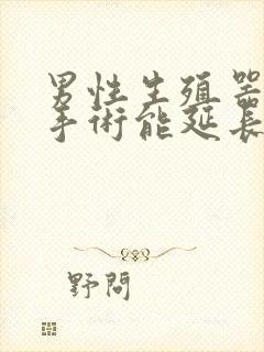 男性生殖器延长手术能延长多少封面