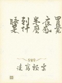 睡到半夜胃疼醒是什么感觉