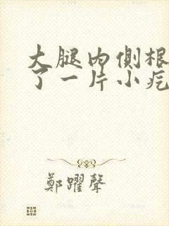 大腿内侧根部长了一片小疙瘩