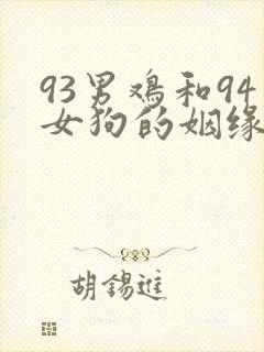 93男鸡和94女狗的姻缘破解