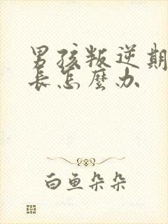 男孩叛逆期时家长怎么办