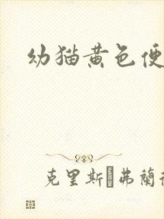 幼猫黄色便便封面