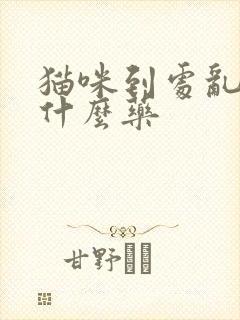 猫咪到处乱尿吃什么药