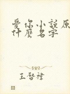 爱你小说原著叫什么名字