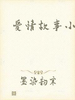 爱情故事小说封面