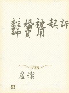 离婚被起诉请律师费用