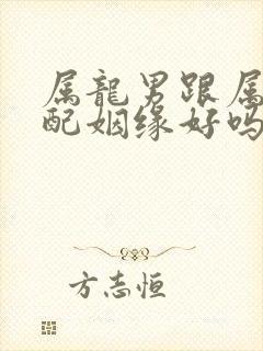 属龙男跟属兔女配姻缘好吗