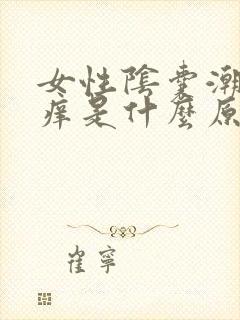 女性阴囊潮湿瘙痒是什么原因造成的封面