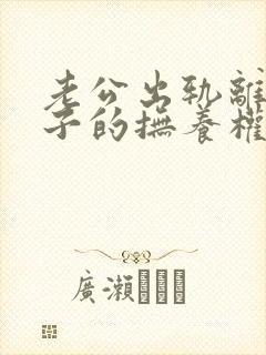 老公出轨离婚孩子的抚养权归谁