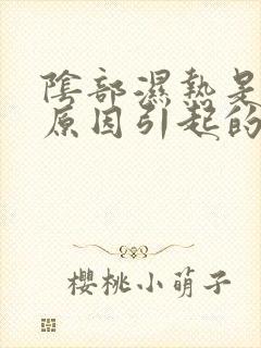 阴部湿热是什么原因引起的封面