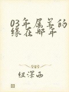 03年属羊的姻缘在哪年