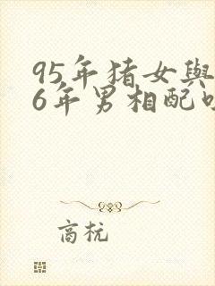 95年猪女与96年男相配吗