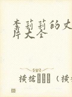 李莉莉的丈夫照片大全