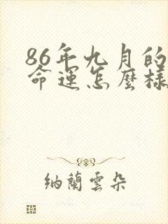 86年九月的虎命运怎么样
