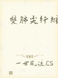 双肺尖纤维条索