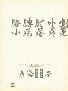 胳膊肘外侧有个小疙瘩疼是怎么回事