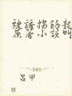 被诱拐的龙小说原著小说叫什么名字