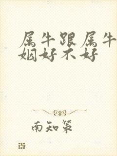 属牛跟属牛的婚姻好不好