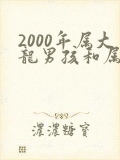 2000年属大龙男孩和属啥相配