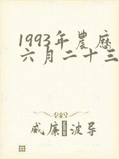 1993年农历六月二十三卯时出生女命运