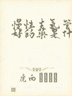 慢性支气管炎最好的药是什么药啊