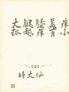 大腿膝盖痒痒越抓越痒有小红疙瘩