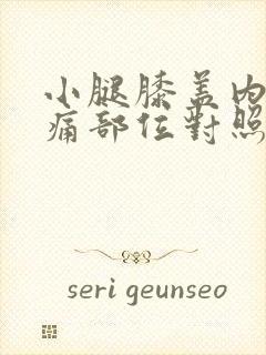 小腿膝盖内侧疼痛部位对照表