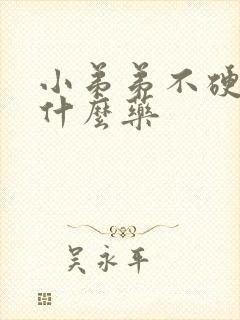 小弟弟不硬吃点什么药