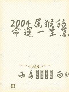 2004属猴的命运一生怎么样封面