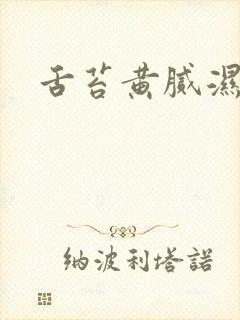 舌苔黄腻湿气重封面