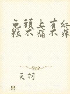 龟头上有红点颗粒不痛不痒封面