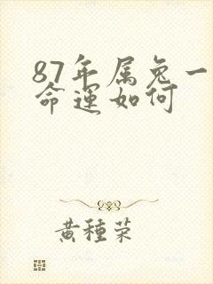 87年属兔一生命运如何