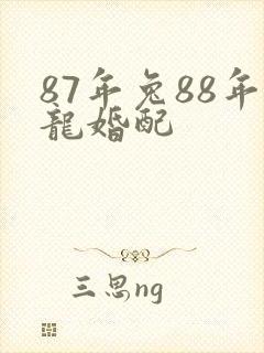 87年兔88年龙婚配