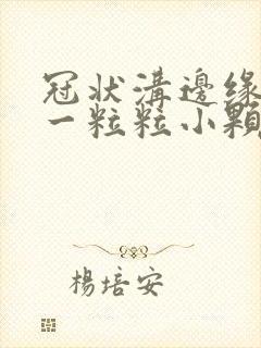 冠状沟边缘长了一粒粒小颗粒