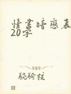 情书暗恋表白520字