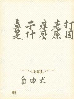 鼻子痒老打喷嚏是什么原因封面