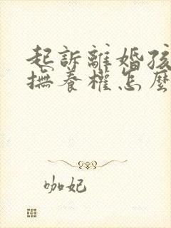 起诉离婚孩子的抚养权怎么判定