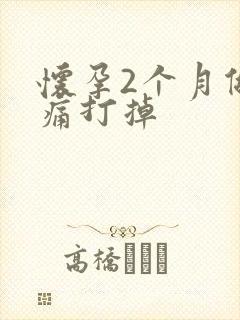 怀孕2个月做无痛打掉